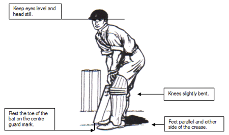 Information of Cricket Dimensions | fawadahmad87